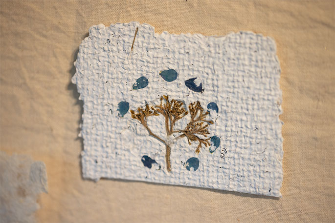 ラトビアの手漉き紙